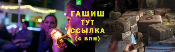 МДПВ Алзамай