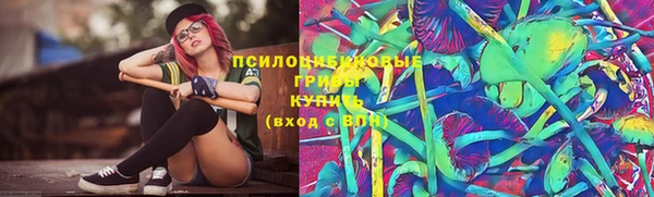 МДПВ Алзамай