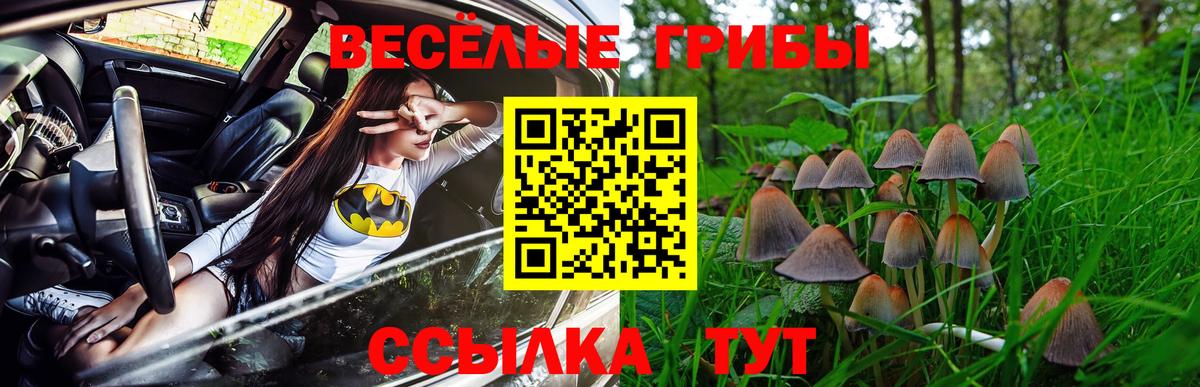 Галлюциногенные грибы Psilocybe  Вход с VPN  Псилоцибиновые грибы ЛСД  Старая Купавна 